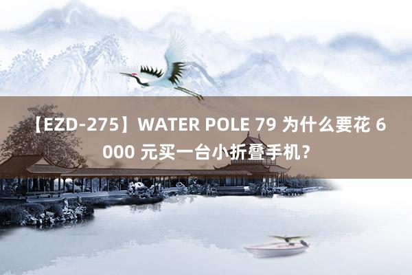 【EZD-275】WATER POLE 79 为什么要花 6000 元买一台小折叠手机？