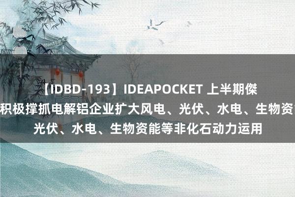 【IDBD-193】IDEAPOCKET 上半期傑作集2009 五部门：积极撑抓电解铝企业扩大风电、光伏、水电、生物资能等非化石动力运用