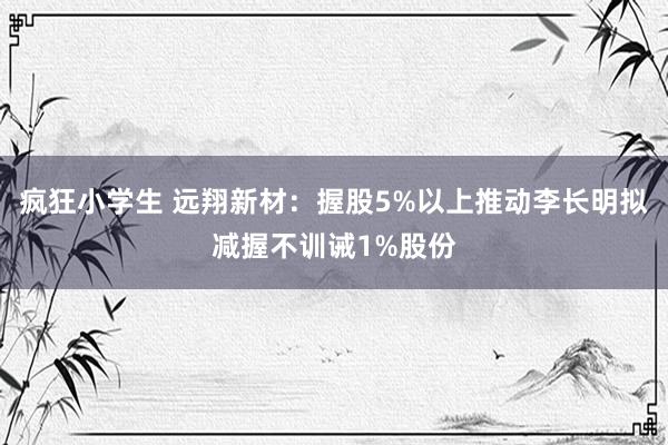 疯狂小学生 远翔新材：握股5%以上推动李长明拟减握不训诫1%股份