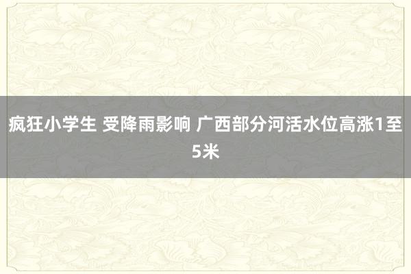 疯狂小学生 受降雨影响 广西部分河活水位高涨1至5米