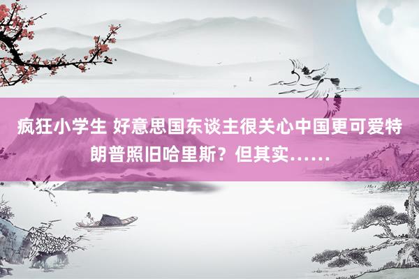 疯狂小学生 好意思国东谈主很关心中国更可爱特朗普照旧哈里斯？但其实……