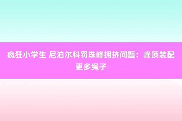 疯狂小学生 尼泊尔科罚珠峰拥挤问题：峰顶装配更多绳子