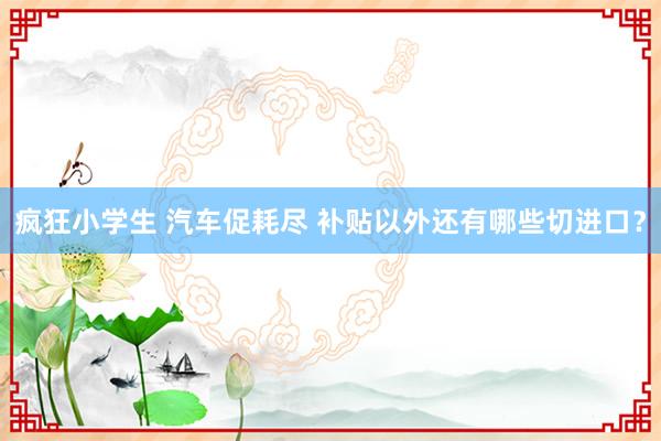 疯狂小学生 汽车促耗尽 补贴以外还有哪些切进口？