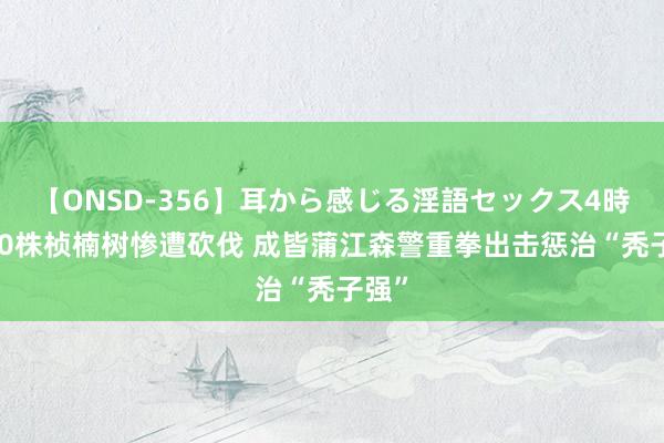 【ONSD-356】耳から感じる淫語セックス4時間 10株桢楠树惨遭砍伐 成皆蒲江森警重拳出击惩治“秃子强”