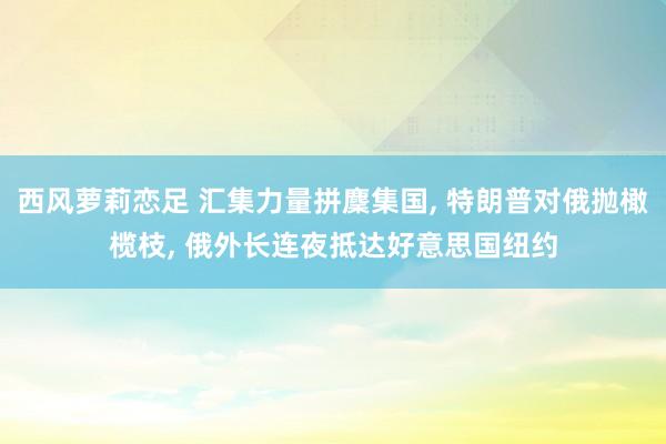 西风萝莉恋足 汇集力量拼麇集国， 特朗普对俄抛橄榄枝， 俄外长连夜抵达好意思国纽约