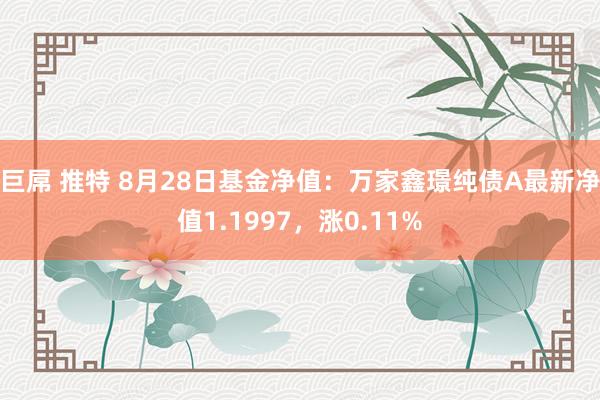 巨屌 推特 8月28日基金净值：万家鑫璟纯债A最新净值1.1997，涨0.11%