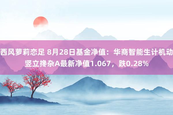 西风萝莉恋足 8月28日基金净值：华商智能生计机动竖立搀杂A最新净值1.067，跌0.28%