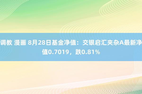 调教 漫画 8月28日基金净值：交银启汇夹杂A最新净值0.7019，跌0.81%