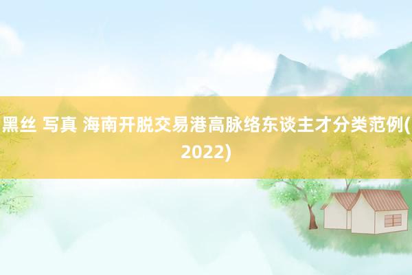 黑丝 写真 海南开脱交易港高脉络东谈主才分类范例(2022)