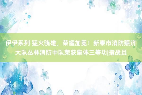 伊伊系列 猛火骁雄，荣耀加冕！新泰市消防赈济大队丛林消防中队荣获集体三等功|指战员