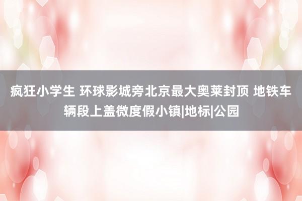 疯狂小学生 环球影城旁北京最大奥莱封顶 地铁车辆段上盖微度假小镇|地标|公园