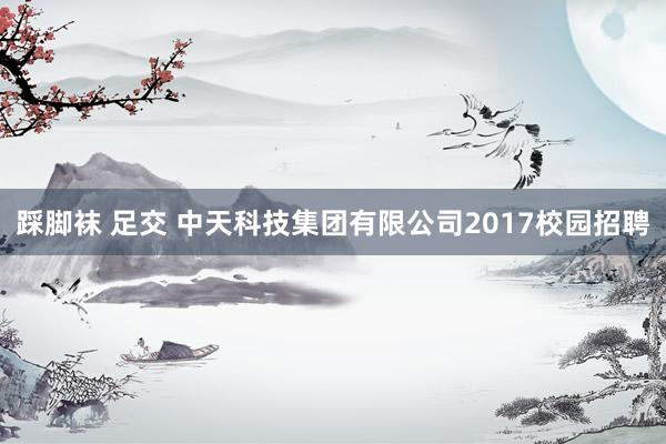 踩脚袜 足交 中天科技集团有限公司2017校园招聘